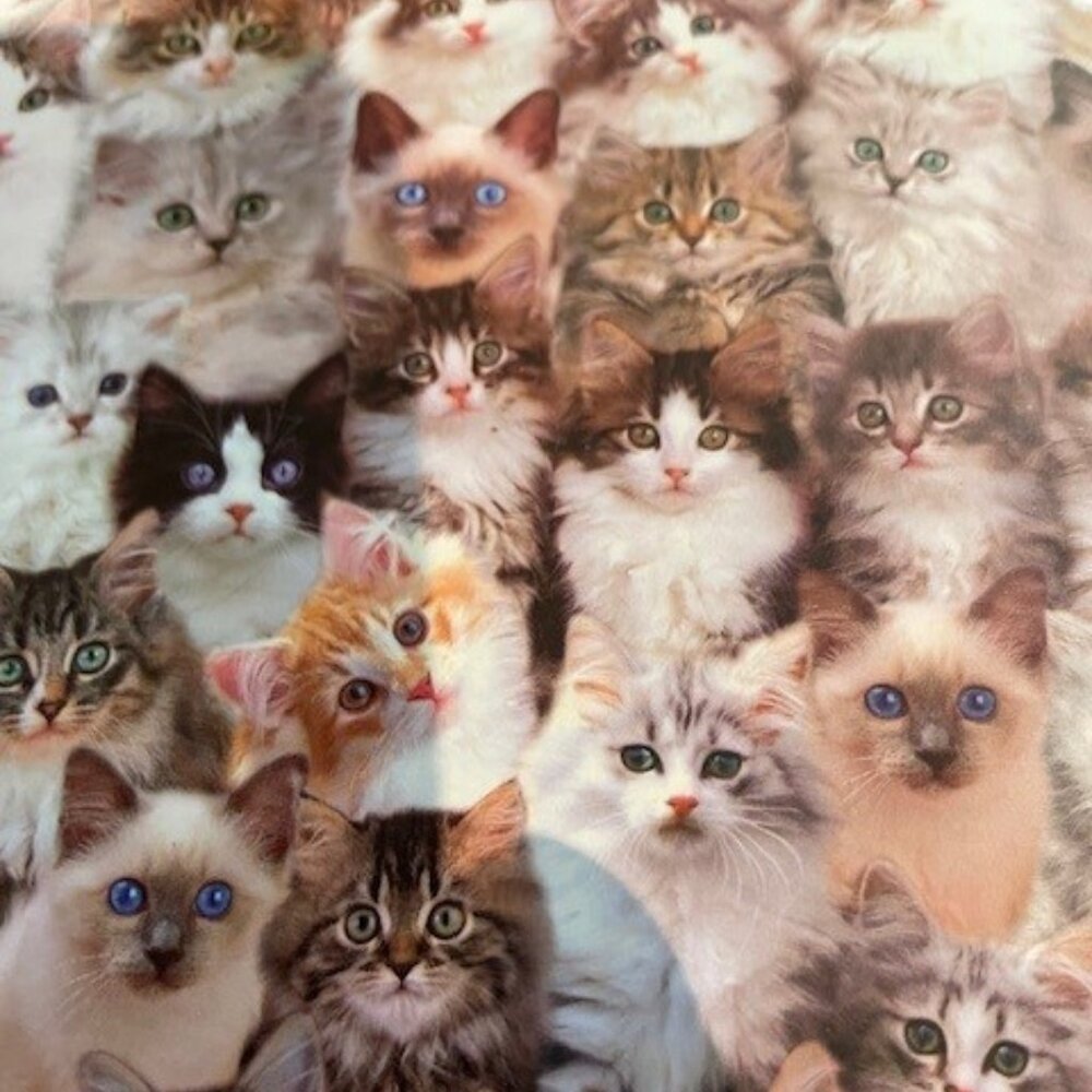 Toynk Cat World 1000 Piece Jigsaw Puzzle